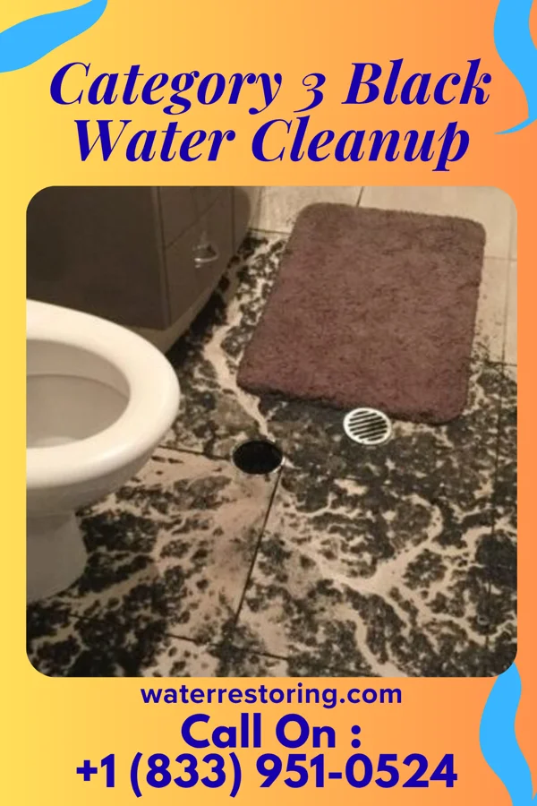 Category 3 Black Water Cleanup in Ventana, AZ